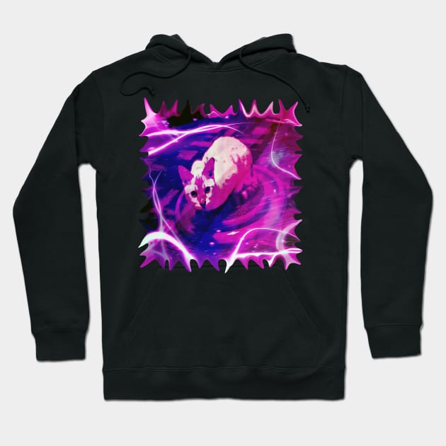 Pink Snow Lynx Cat on the Disco Coaster Hoodie by distortionart